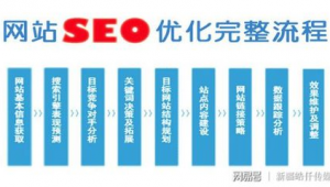 什么是站群蜘蛛池_站群是什么意思