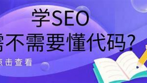 學seo技術能賺錢么（學seo容易嗎）