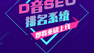 合肥抖音推廣公司(抖音seo公司)