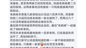 達州流浪狗基地（達州寵物救助站電話號碼）