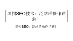 小說泛目錄站群程序—x2版（泛目錄站群原理）