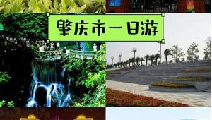 茂名seo網站排名(茂名seo快速排名)