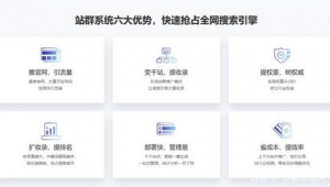 站群流量哪里收購(站群效果怎么樣)