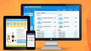 浙江軟件外包公司（浙江手機軟件外包方案）