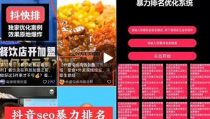 抖音seo帝搜軟件最強(qiáng)技術(shù)(抖音seo排名帝搜軟件怎么樣)