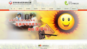 寶雞網站優化_寶雞網絡推廣公司