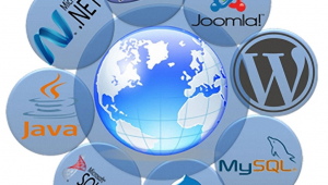 開(kāi)發(fā)網(wǎng)站和開(kāi)發(fā)軟件有什么區(qū)別(開(kāi)發(fā)app和開(kāi)發(fā)網(wǎng)頁(yè)的區(qū)別)