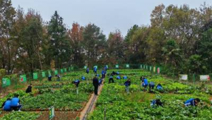 湖南整站網站推廣公司_湖南網絡推廣方法