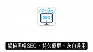 seo黑帽是什么意思（列舉幾種seo黑帽行為）