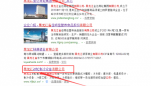 黑龍江網絡公司排行榜_黑龍江網絡推廣公司