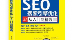 搜索引擎優化的技巧有哪些?_搜索引擎優化seo實操