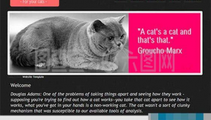 貓咪網(wǎng)站軟件哪個好(貓咪網(wǎng)應(yīng)用)