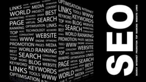 廣州seo網站管理（廣州seo成功案例）