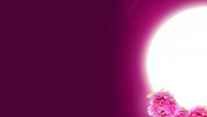 興寧客運站群qq群號是多少（興寧客車司機電話）