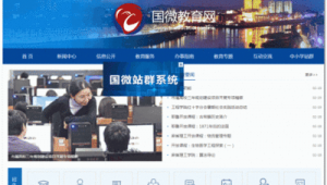 國微集團官網(國微集團加班嗎)