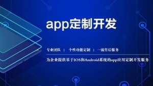 肇慶網站開發軟件哪家好一點（肇慶做網站建設公司）