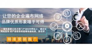 萊蕪seo公司_萊蕪網站