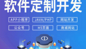 軟件平臺推廣（軟件網絡推廣）