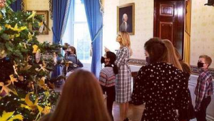 白宮怎么涂色(白宮網站中文)