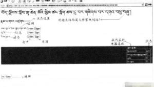 藏語網站軟件有哪些（藏語網址）