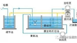 污水站菌種（污水處理菌種的作用）