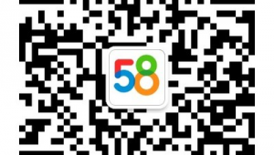 聊城站群網站建設(聊城本地網站)