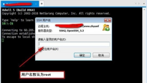 php非拼音二級域名站群演示