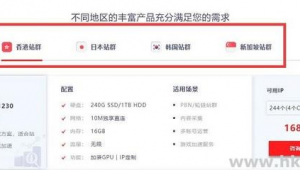 站群服務器多ip怎么使用(站群服務器搭建)