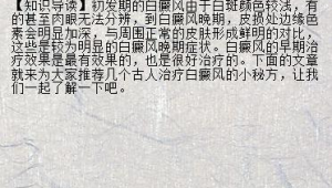 站樁培訓(xùn)基地（站樁培訓(xùn)班）