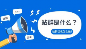 站群優化關鍵詞(站內優化的意義)
