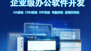 山東網站制作定制(山東專業網站開發公司)