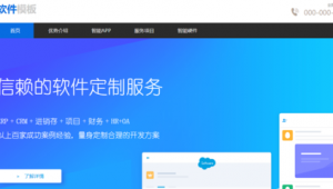 網站是軟件的意思嗎(網站是不是軟件)