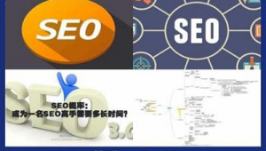 seo快速優化技術(seo免費優化軟件)