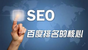 優化合作是什么意思_seo平臺優化