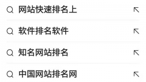 網(wǎng)站排名軟件（網(wǎng)站排名有哪些）
