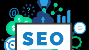 快速seo排名(seo排名技術教程)