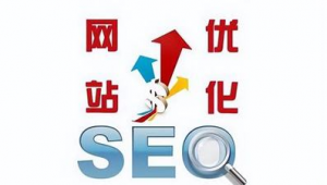 seo免費(fèi)優(yōu)化軟件(seo點(diǎn)擊軟件哪個(gè)好用)