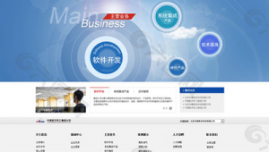 中國公司開發軟件網站官網(開發軟件公司排名)