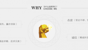 網(wǎng)站劫持工具下載(網(wǎng)站劫持什么意思)