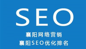 百度seoo優化軟件(溫州百度快速優化)