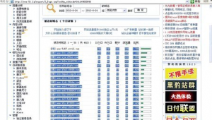 泛站群程序(泛泛平臺是什么?)