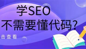 seo搜索優化是什么意思(seo搜索引擎優化實戰)