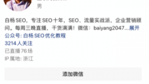 seo名字是什么意思_seocntie