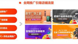 站點(diǎn)廣告(接x站的廣告聯(lián)盟)