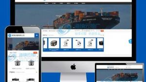 2021站群程序（站群工具）