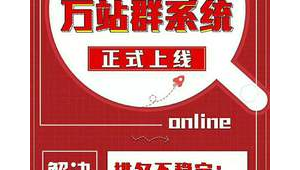 站群盈利模式（站群seo技巧）