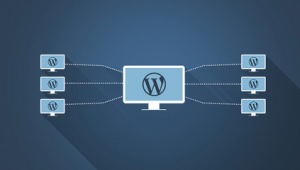 站群網站程序 wp