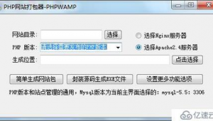 exe軟件運行網站是什么（exe程序軟件）