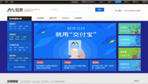 軟件外包網址大全(軟件外包平臺哪個好)