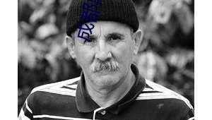 <strong>黑帽</strong>門視頻谷歌（<strong>黑帽</strong>門除了p站哪還可以看）